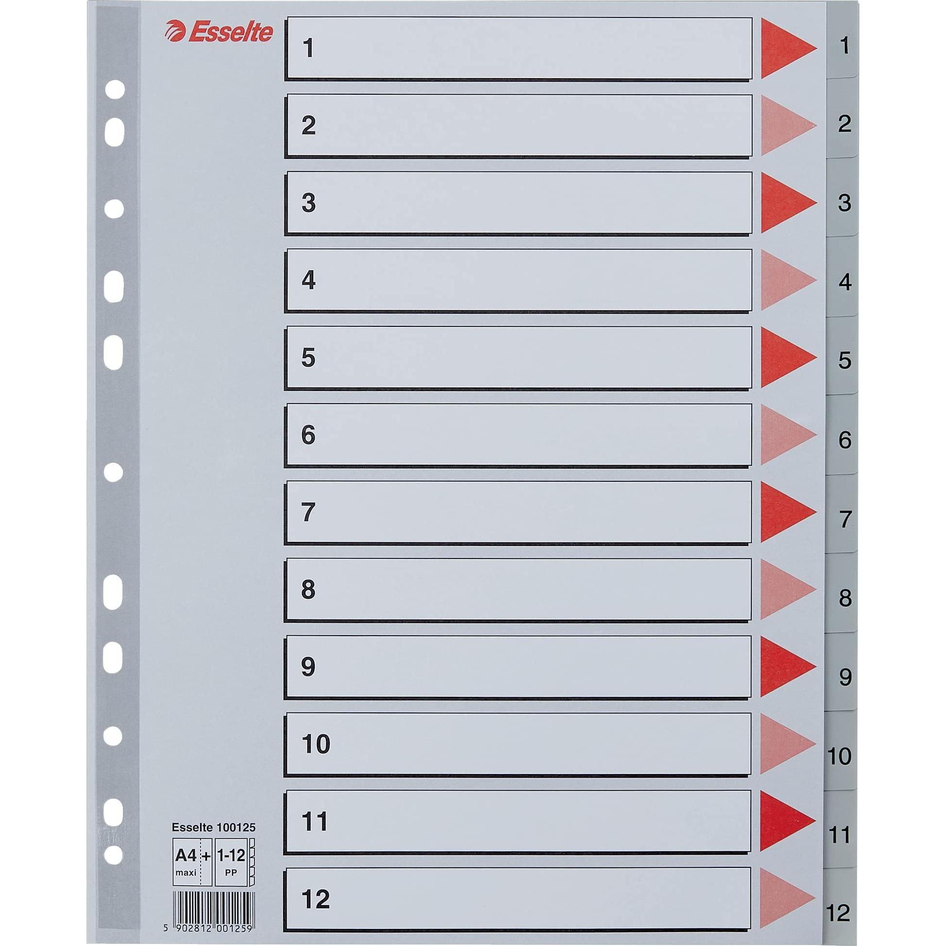 Esselte, Ordner Zubehör, Register
