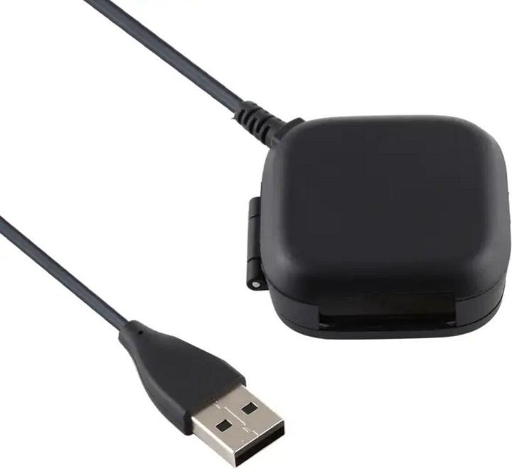 Actual product image Fitbit Charger for Versa 2 - Black