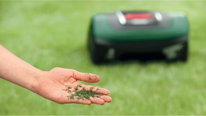 Actual product image Bosch Home & Garden Indego XS 300 (300 m², Boundary wire)