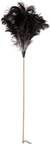 Image du produit Bürstenhaus Redecker Fronde d'autruche (1 pcs)