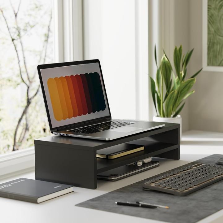 Actual product image Fitueyes Monitorständer mit 2 Ebenen und Stauraum