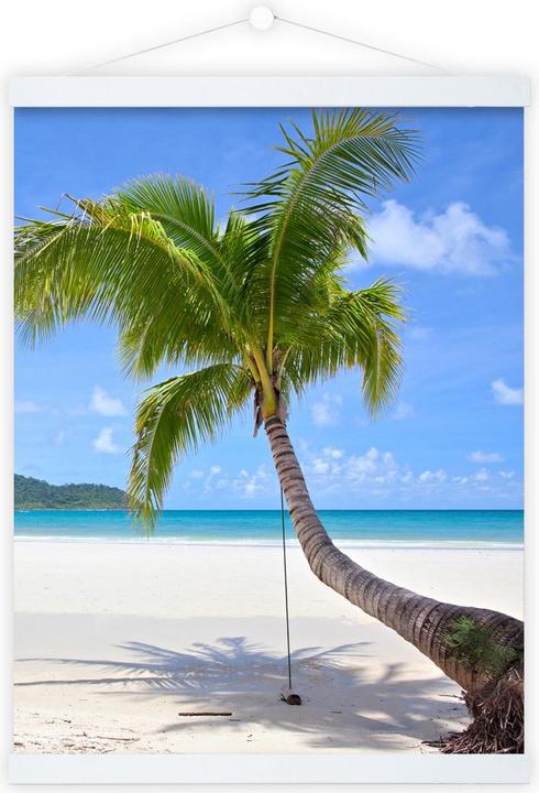 Immagine prodotto Debex Strisce di poster con magneti (Vari)