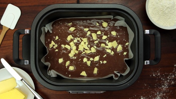 Actual product image Crockpot Multi-Cooker CSC024X