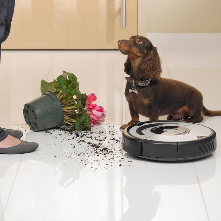 Actual product image iRobot Roomba 563 PET