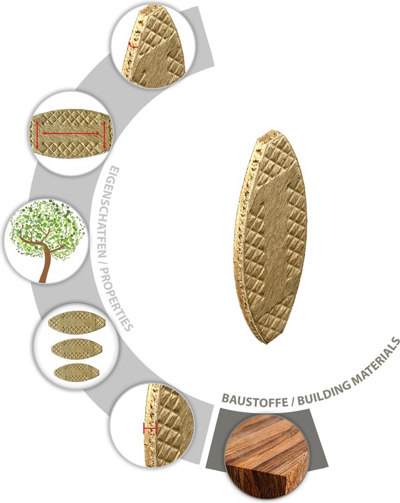Image du produit Tox Chevilles plates en bois Biscuit Wood P0 60 pièces (60 pcs)