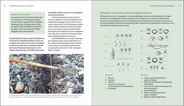 Immagine prodotto Gesunder Garten durch Mischkultur (Tedesco, Brunhilde Bross-Burkhardt, 2019)