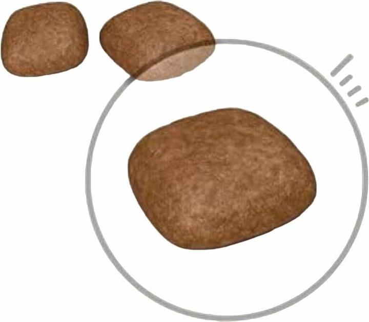 Actual product image Royal Canin Urinary Care (Adult, 1 pcs., 2000 g)