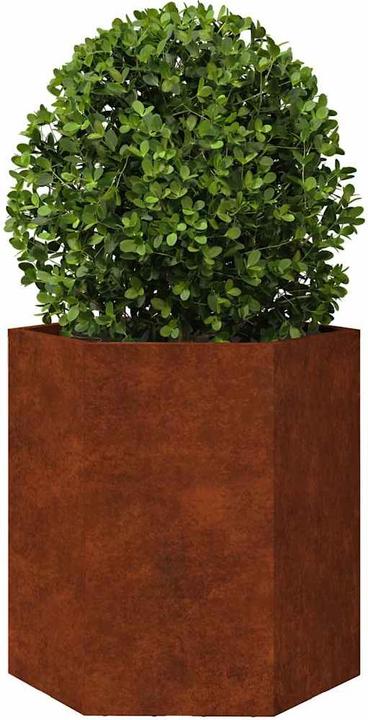 Produktbild vidaXL Gartenpflanzgefäss