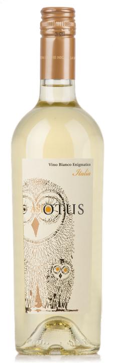 Actual product image Mondo del Vino ASIO OTUS Chardonnay Sauvignon blanc Vino d'Italia (1 x 75 cl)