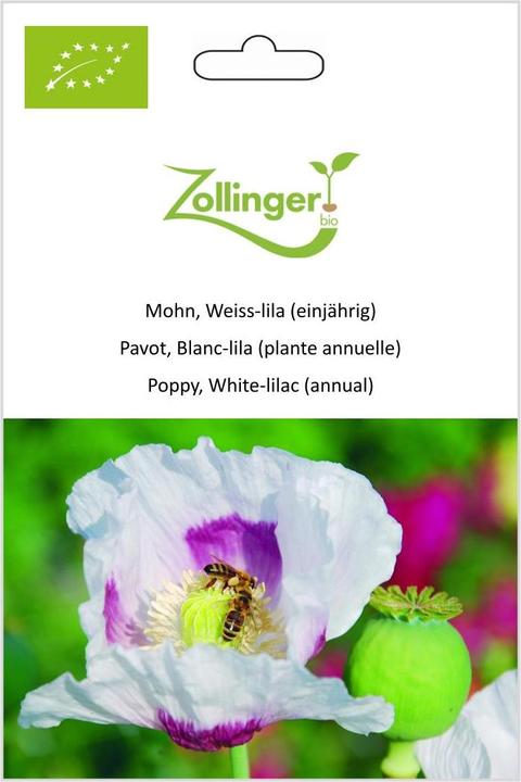 Immagine prodotto Zollinger Bio Papavero bianco-violaceo (annuale) (Germogli)
