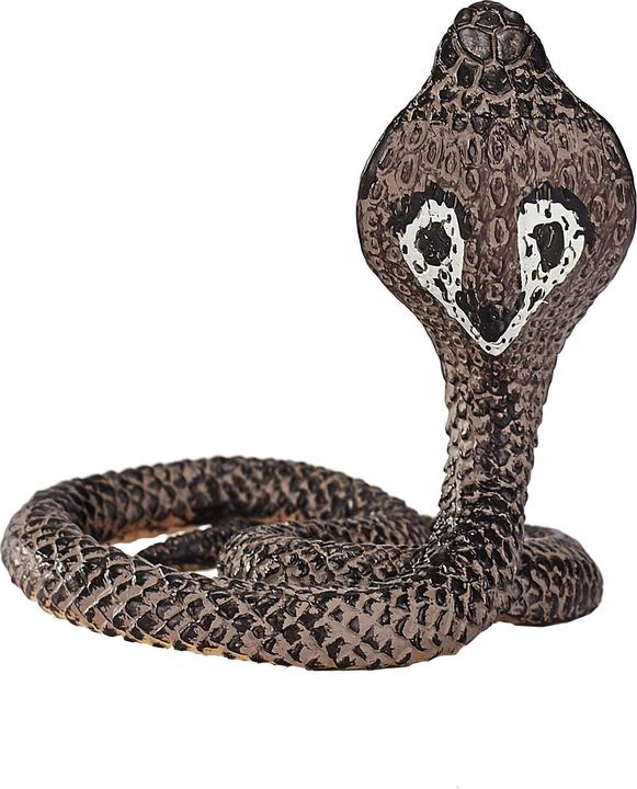 Image du produit Animal Planet Cobra