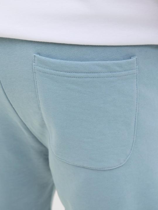 Actual product image Jack & Jones Jpstkane Vesterbro Sweat Shorts Lng Sn (XXL)