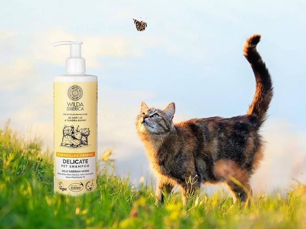 Actual product image Wilda Siberica DELICATE shampoo, 5 l (5000 ml)