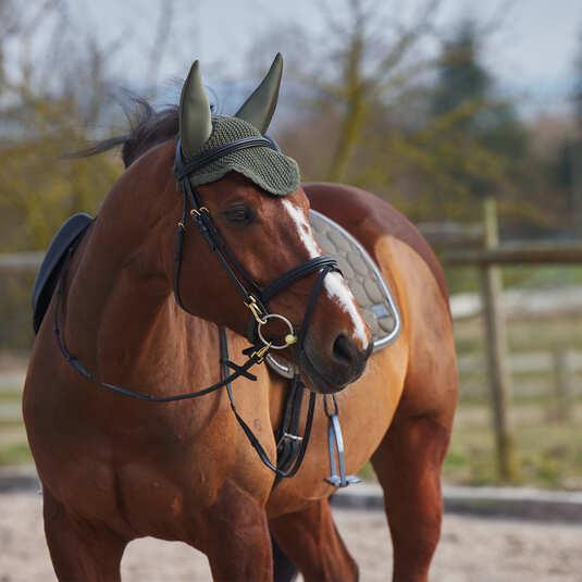 Immagine prodotto Horze Marquess