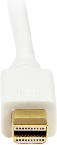 Actual product image StarTech Mini DisplayPort — DVI (3 m)