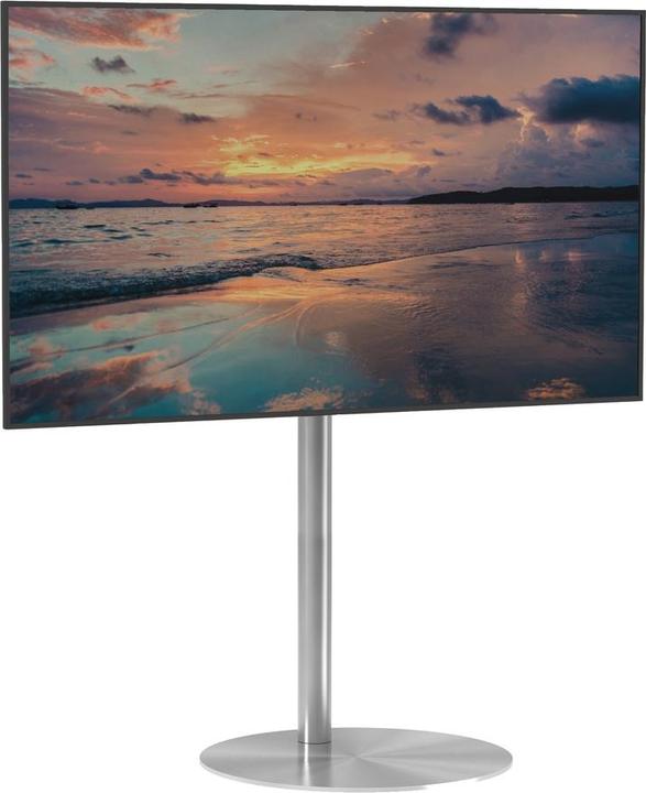 Produktbild Cavus SPHERE100S01 (Universal, 65", 35 kg)