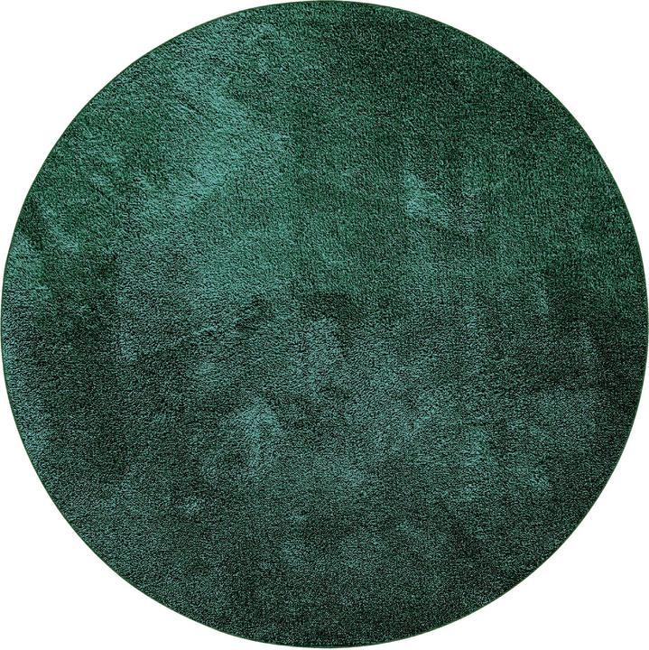 Lipo Hilaria (Tondo/a)