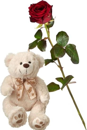 Produktbild Fleurop 1 rote Rose (langstielig) mit Teddybär (weiss) (Schnittblumen)
