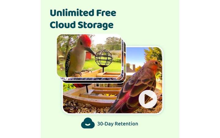 Immagine prodotto Birdfy Mini Solar