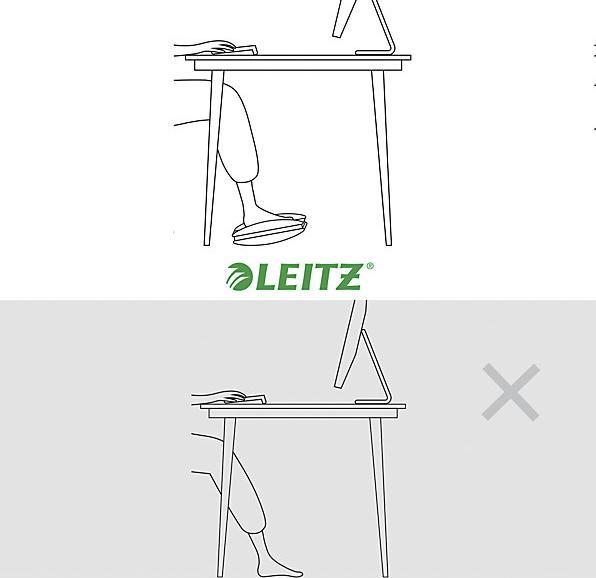 Actual product image Leitz Ergo