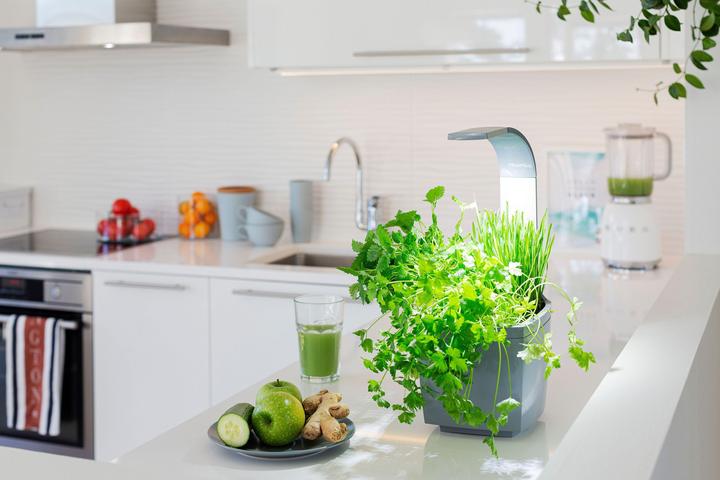Actual product image Tregren Herb pot T3 (17.50 x 19.50 x 44 cm)