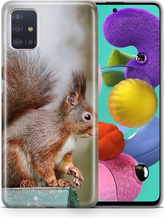 Eichhörnchen