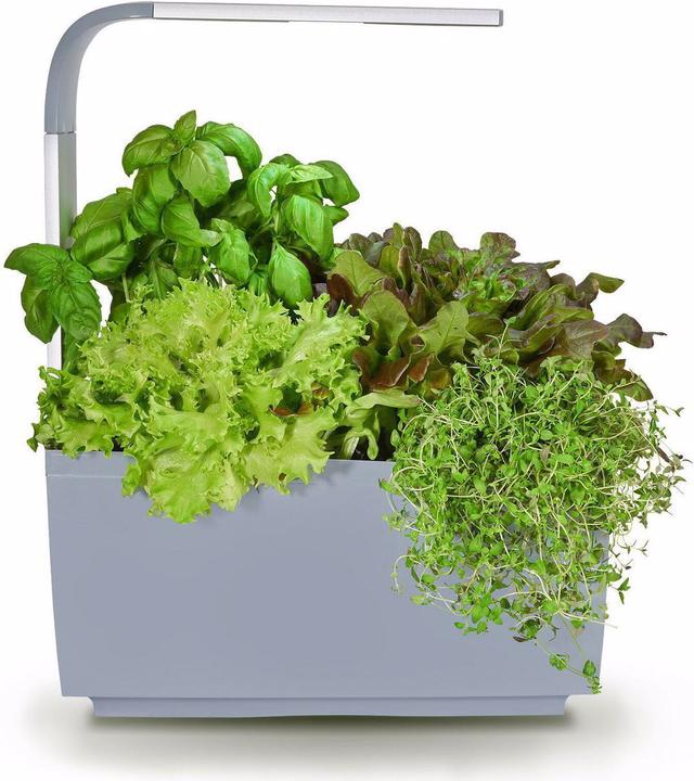 Actual product image Tregren T6 Kitchen Garden (17.50 cm)