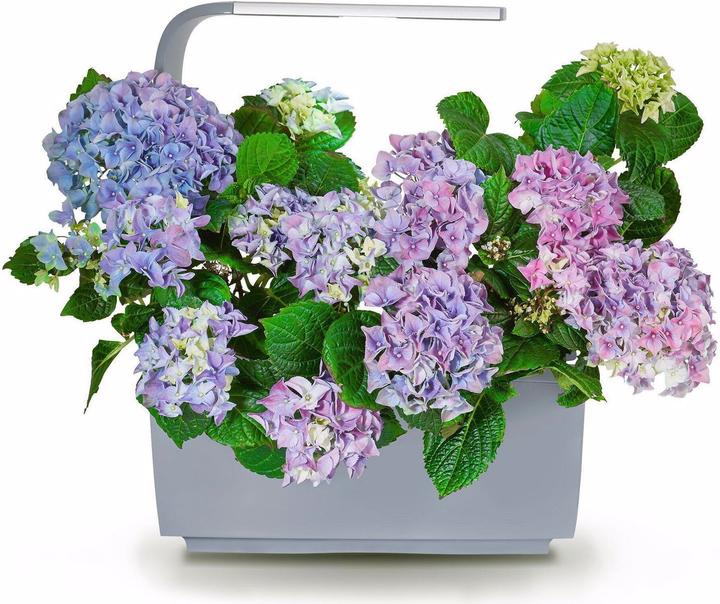 Actual product image Tregren T6 Kitchen Garden (17.50 cm)