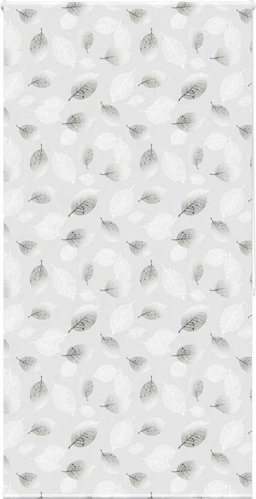 Produktbild vidaXL Duschrollo (120 x 240 cm)