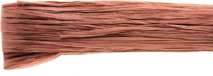 Image du produit Glorex Raphia brillant 20m brun moyen