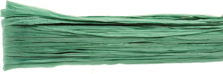 Immagine prodotto Glorex Edelbast 20m mittelgrün glänzend Viscose 10g