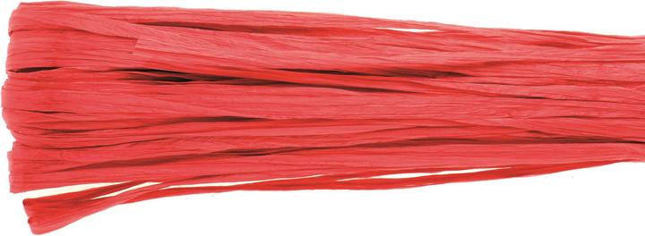 Image du produit Glorex Raphia brillant 20m rouge
