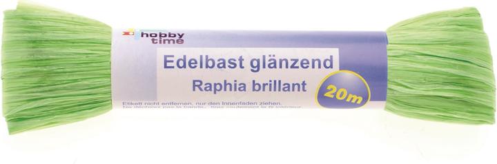 Image du produit Glorex Raphia brillant 20m vert
