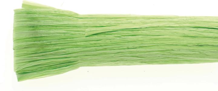 Image du produit Glorex Raphia brillant 20m vert