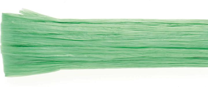 Image du produit Glorex Raphia brillant 20m vert clair