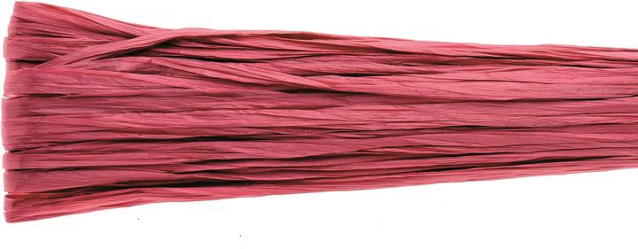 Image du produit Glorex Raphia brillant 20m rouge f.