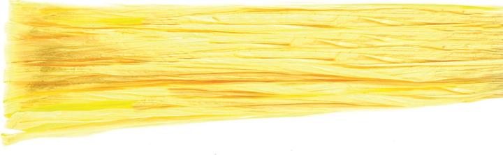 Image du produit Glorex Raphia brillant 20m citron
