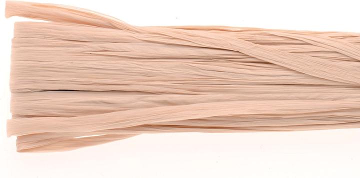 Image du produit Glorex Raphia brillant 20m naturel