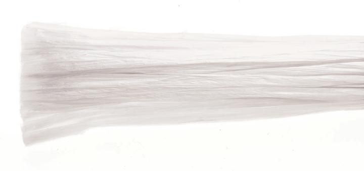 Actual product image Glorex Noble raffia 20m white glossy viscose 10g