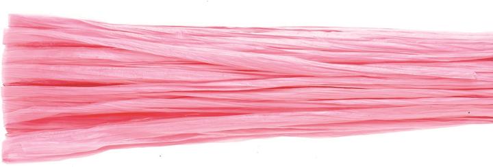 Image du produit Glorex Raphia brillant 20m rose