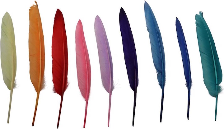 Actual product image Glorex Indian Feathers
