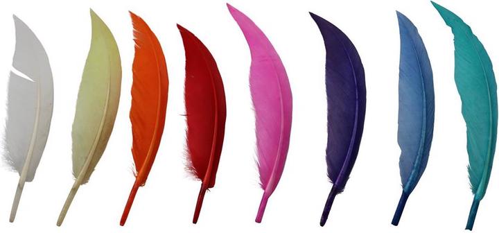 Immagine prodotto Glorex Piume indiane, colorate, 30pz. 13-16cm