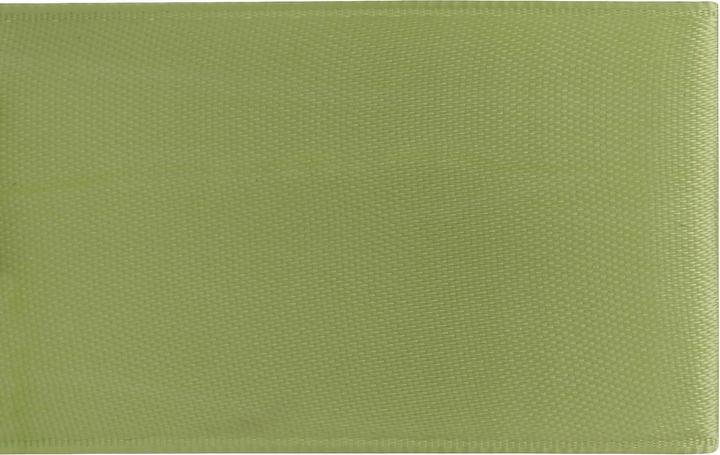 Image du produit Glorex Ruban satin 10mm 10m vert clair