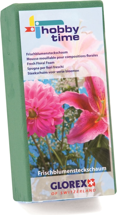 Immagine prodotto Glorex Schiuma per fiori freschi 23x11x7,5cm
