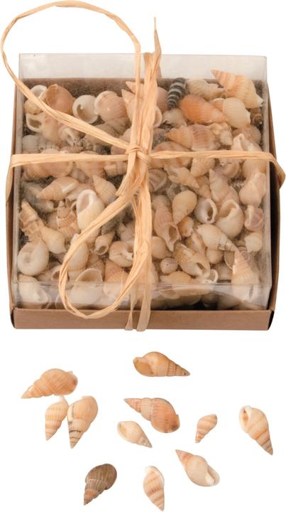 Actual product image Glorex Mussel mix 90g