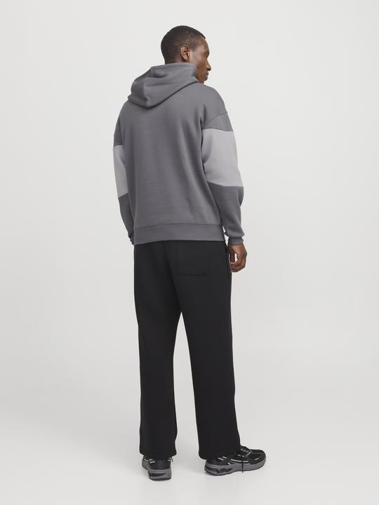 Immagine prodotto Jack & Jones Jjelegacy Blocking Sweat Hood Noos (XS)