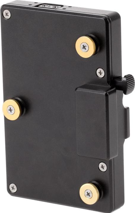 Image du produit Wooden Camera WC Pro Gold Mount Camera Side to V-Mount Battery Side Adapter (3x D-Tap and Digital)