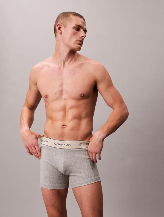 Produktbild Calvin Klein Trunk 3pk (L)