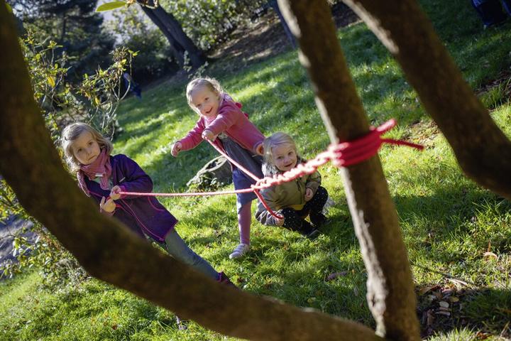 Actual product image Erzi Team Game Set Fun