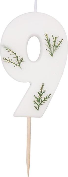 Produktbild Ginger Ray Blatt Foliage Nummer 9 Geburtstagskerze